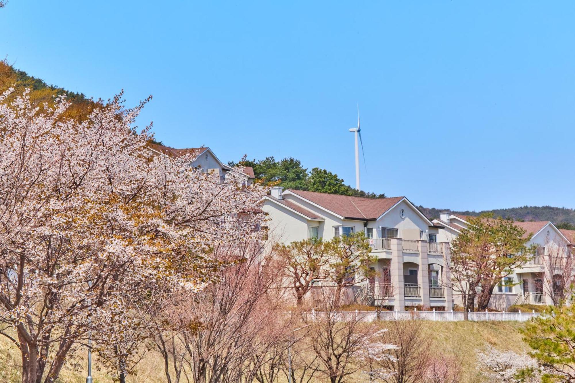 Gyeongju Mauna Ocean Resort Eksteriør bilde