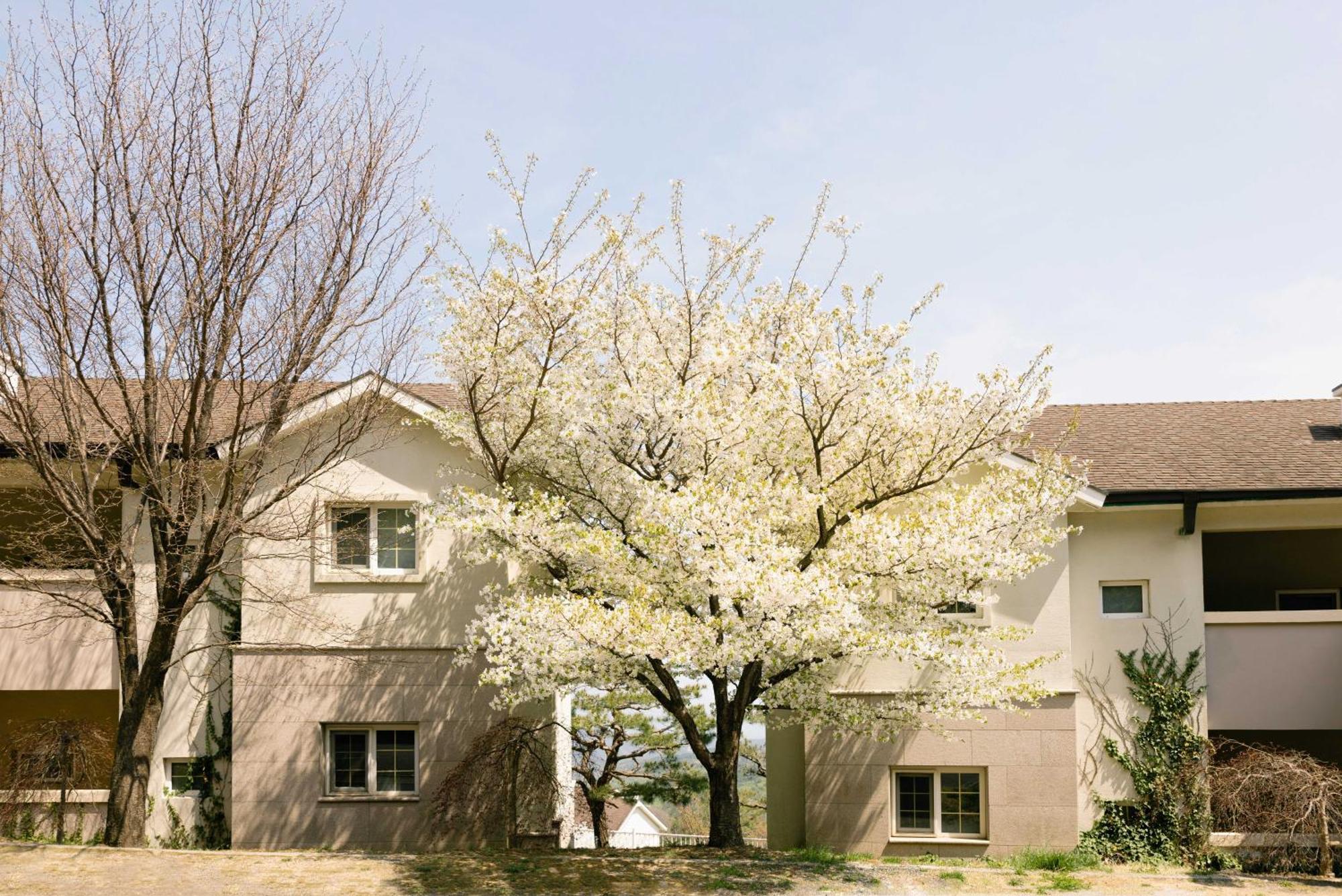 Gyeongju Mauna Ocean Resort Eksteriør bilde